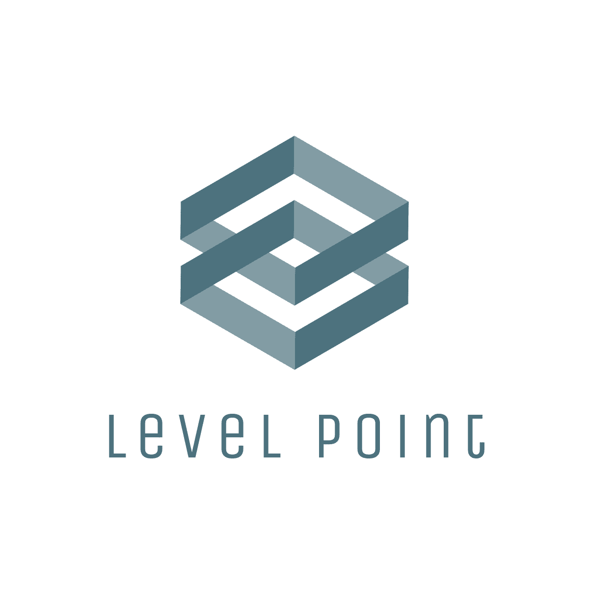 LevelPoint